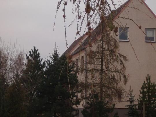 Rückansicht